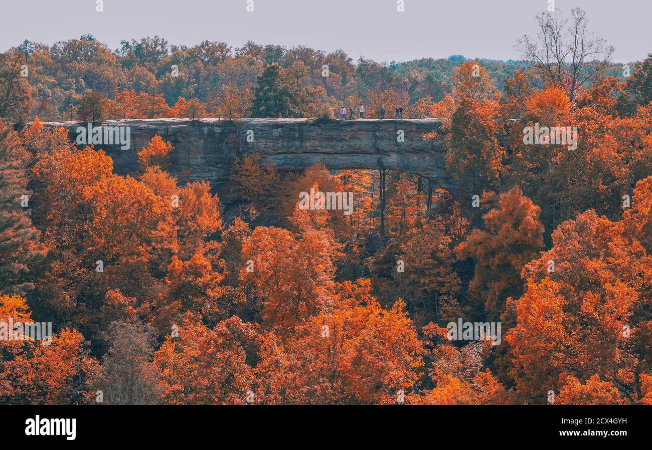 USA, southeastern, Kentucky, Natural Bridge State Resort Park Stock Photo