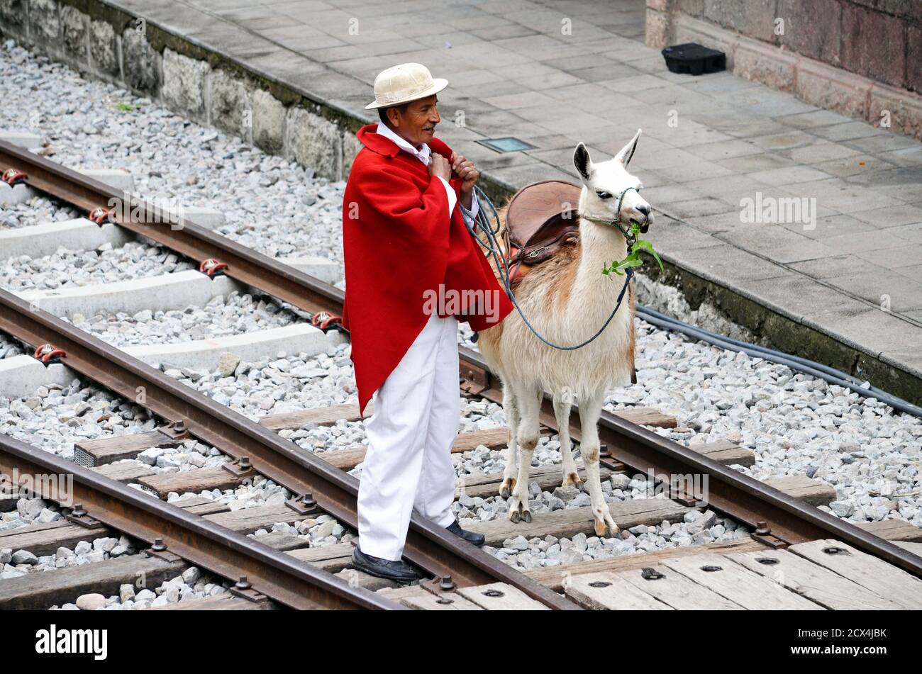 Nariz del Diablo Train Ride Stop with Man & His Llama Stock Photo