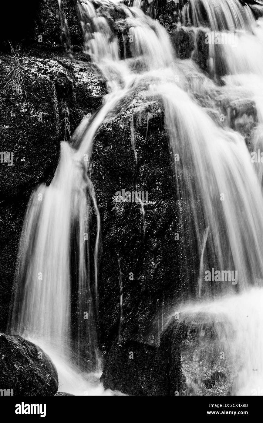 Waterfall of Jedlova. Small waterfall with mossy granite rocks. Jizera Mountains, Northern Bohemia, Czech Republic Black and white image. Stock Photo