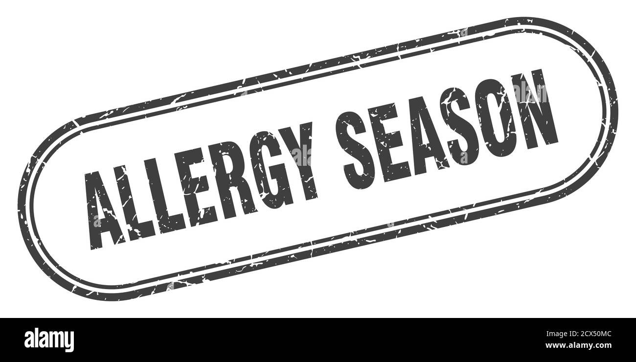 allergy season stamp. rounded grunge sign on white background Stock