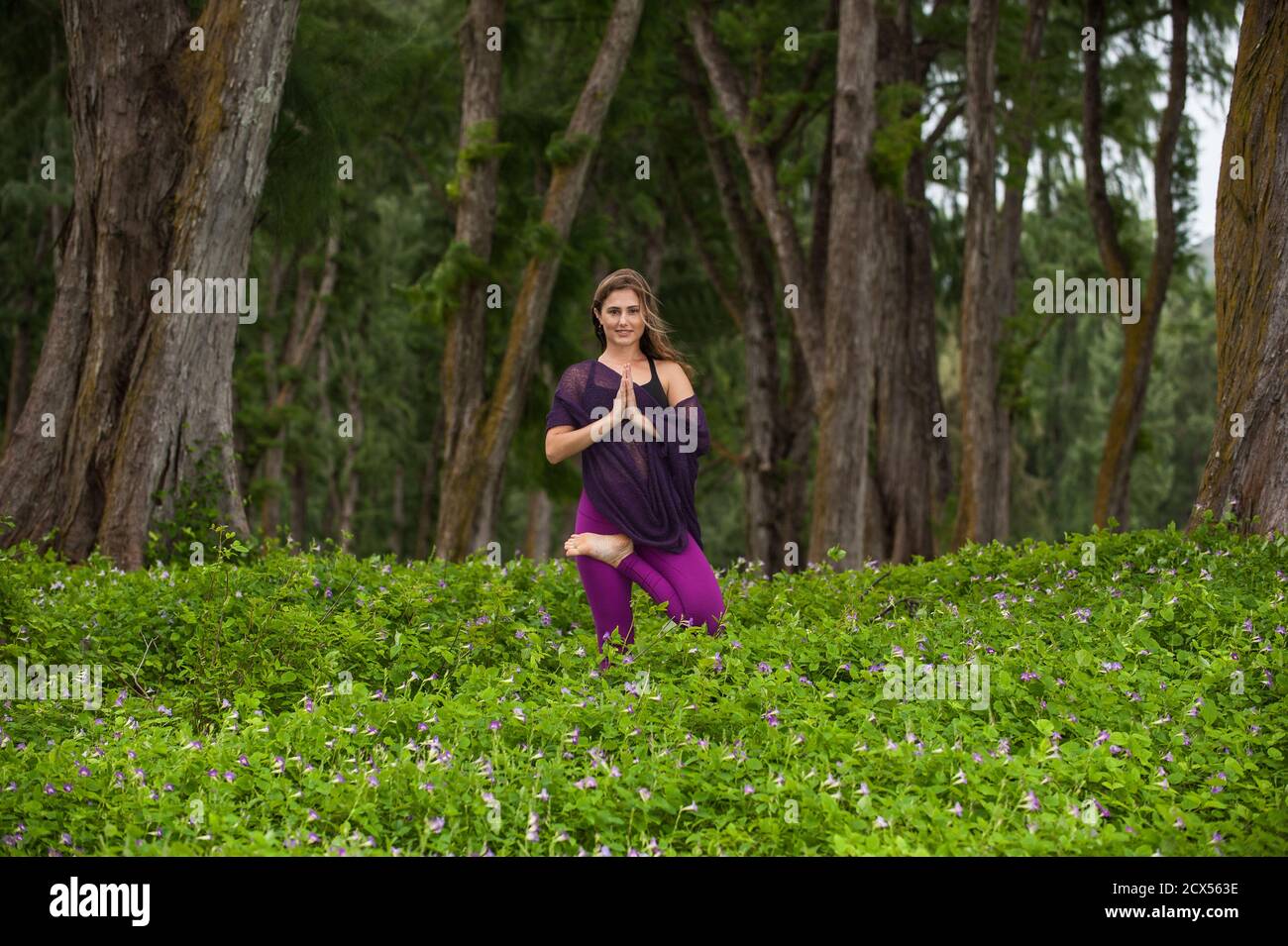 Tree pose yoga hi-res stock photography and images - Alamy