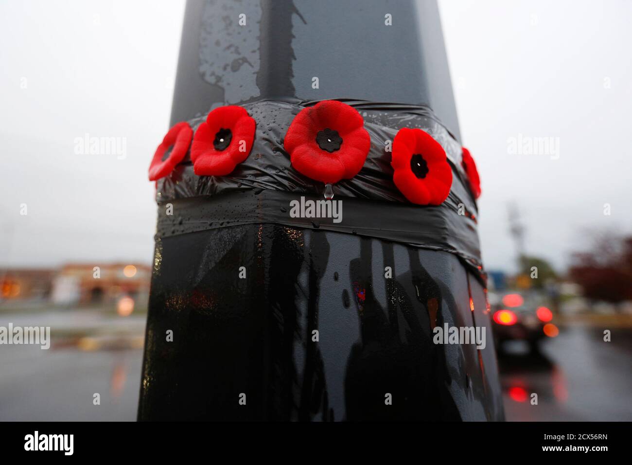 A raindrop falls from one of the poppies placed on a lamp post in the  parking lot in front of a Service Canada building, where a suspected  Islamic militant deliberately ran over