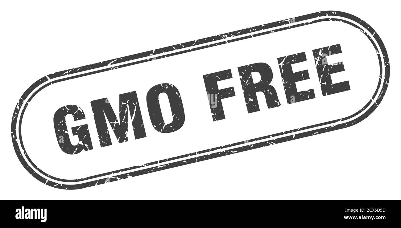 gmo free stamp. rounded grunge sign on white background Stock Vector ...