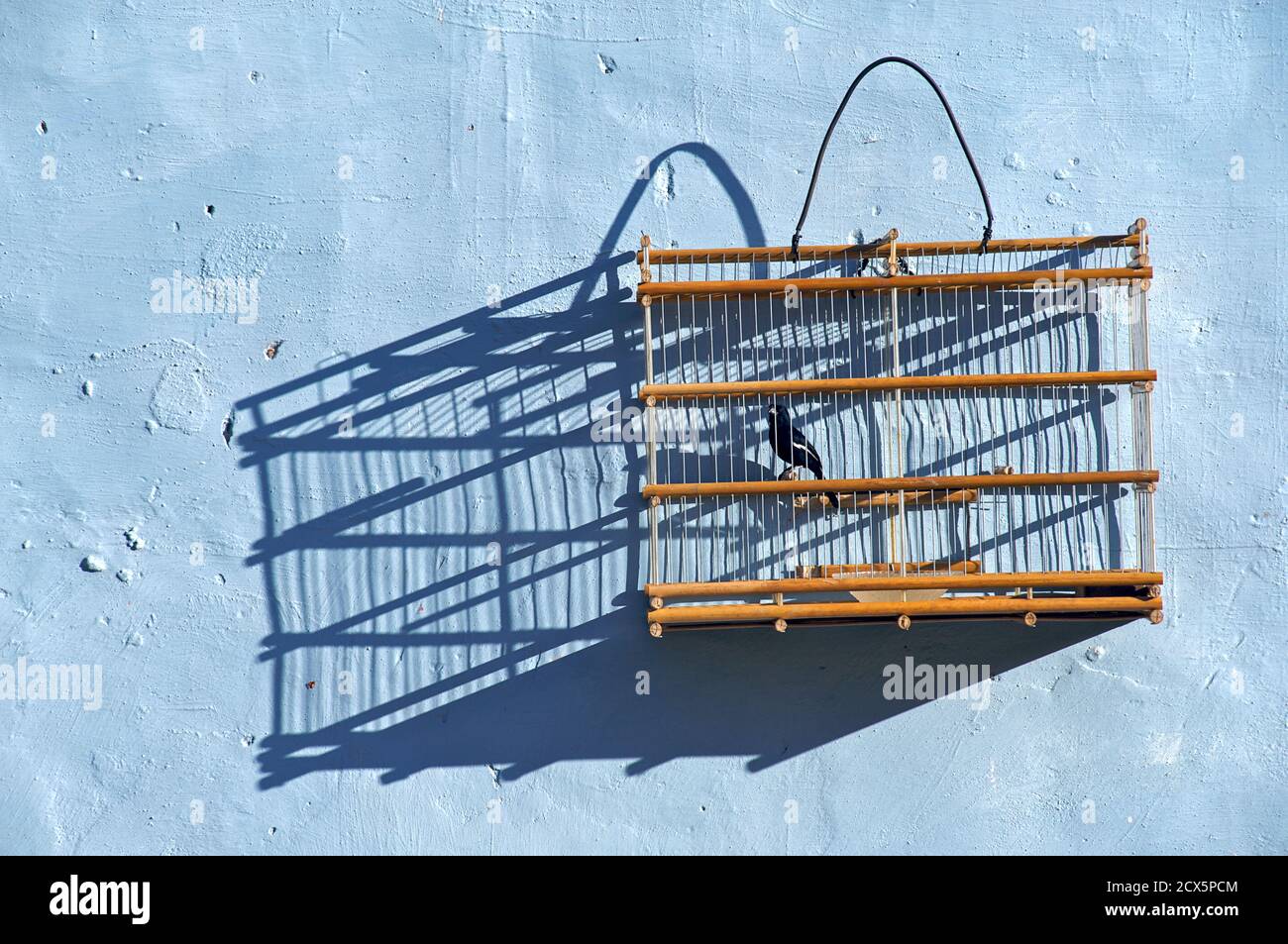 Bird cage hanging hires stock photography and images Alamy