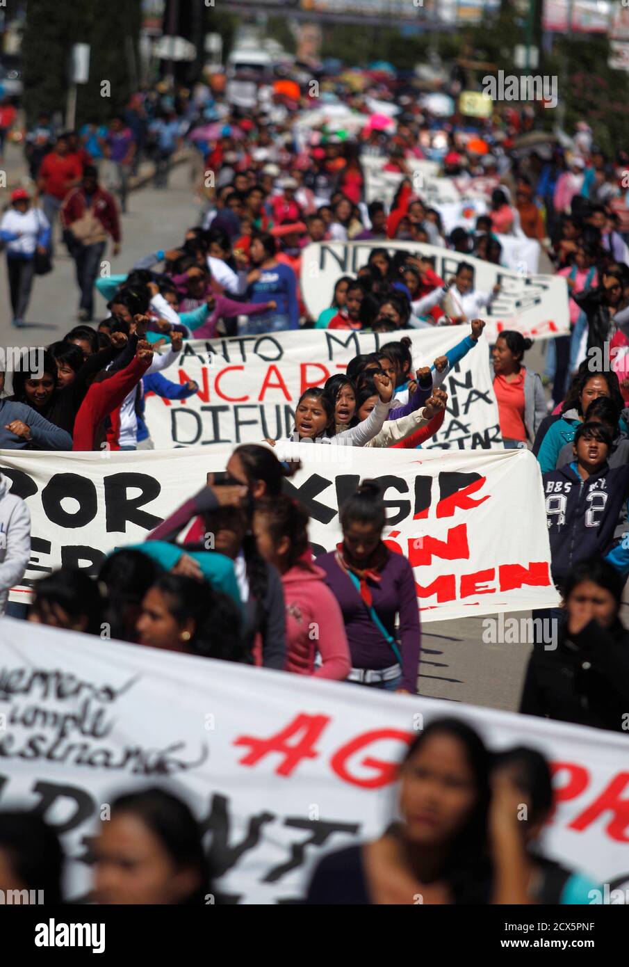 Activists participate in a protest march to demand that the government find the 43 missing students from Ayotzinapa Teacher Training College Raul Isidro Burgos in Chilpancingo, Guerrero, November 14, 2014. Criticism of the government has intensified in Mexico since Attorney General Jesus Murillo said last week that evidence suggests 43 missing trainee teachers were murdered by gunmen and drug gangs in collaboration with corrupt police and local politicians. The students were reportedly incinerated in a bonfire at a garbage dump and their ashes thrown in a river. Authorities said some of the st Stock Photo