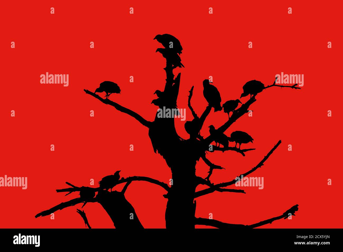 Silhouette of a dead tree full of vultures against a red background Stock Photo