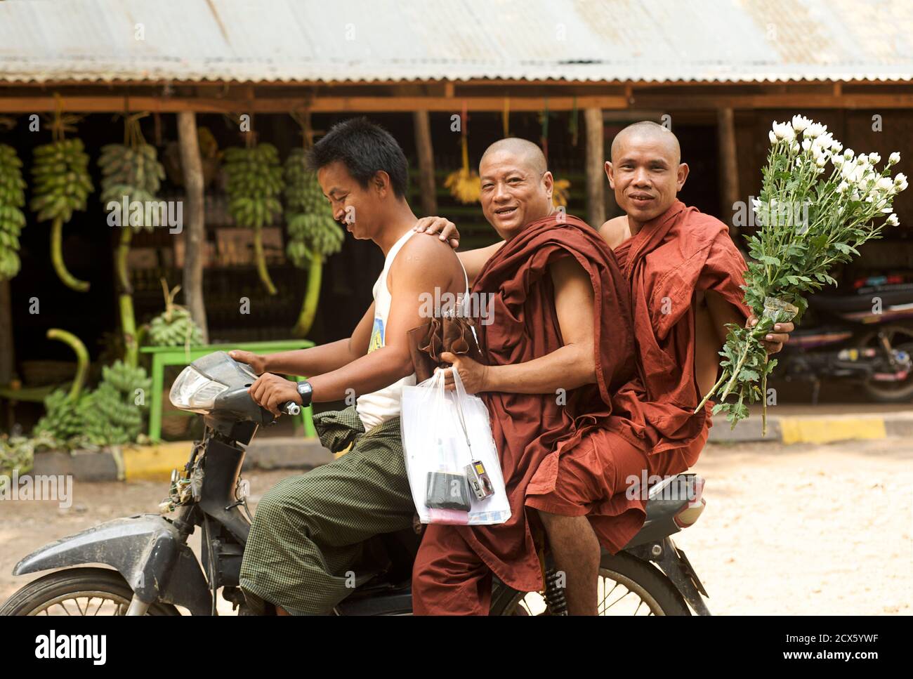 Monks travelling on the back of a motorcycle. Near Mount Popa, Burma Stock Photo