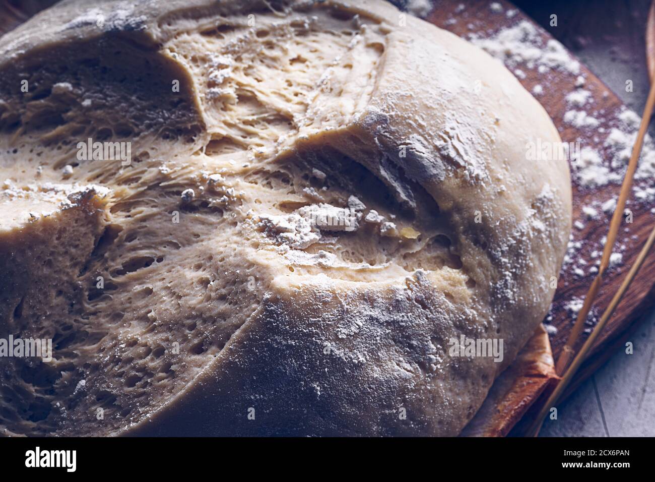 Fermented bread with spikes of wheat, flour and yeast. Traditional