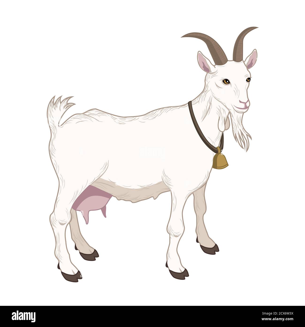 vector illustration of a goat Stock Vector Image & Art - Alamy