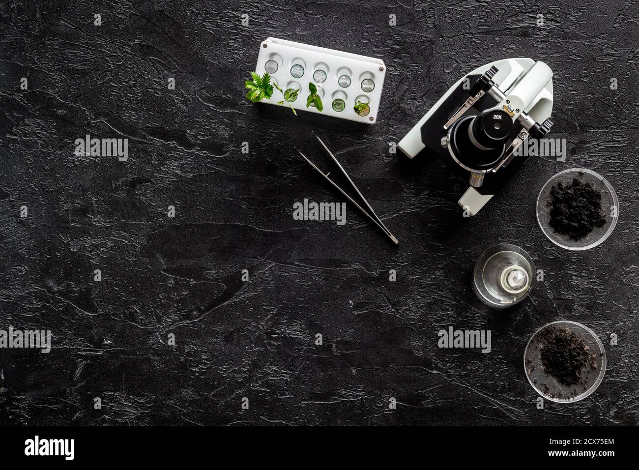 Lab test tubes microscope hi-res stock photography and images - Alamy
