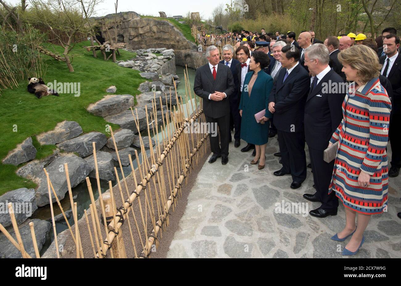 Eric Domb (L), CEO of Pairi Daiza Zoo, Belgium's King Philippe (2nd R), Queen Mathilde (R), China's President Xi Jinping (C) and his wife Peng Liyuan look at panda Hao Hao during