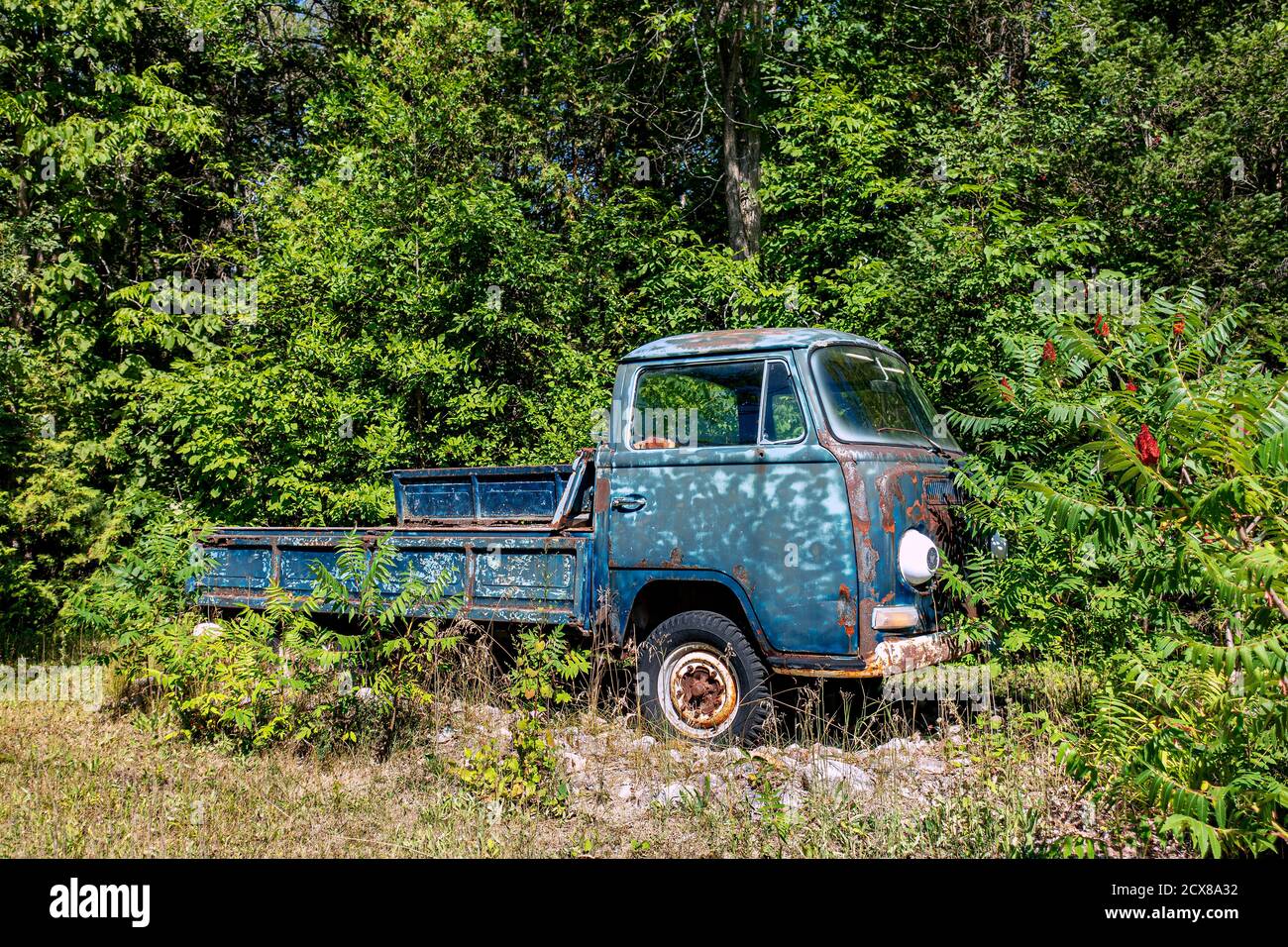 Vw Type 2 High Resolution Stock Photography And Images Alamy