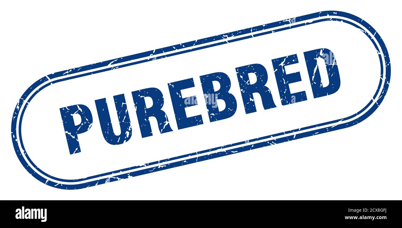 purebred stamp. rounded grunge sign on white background Stock Vector ...
