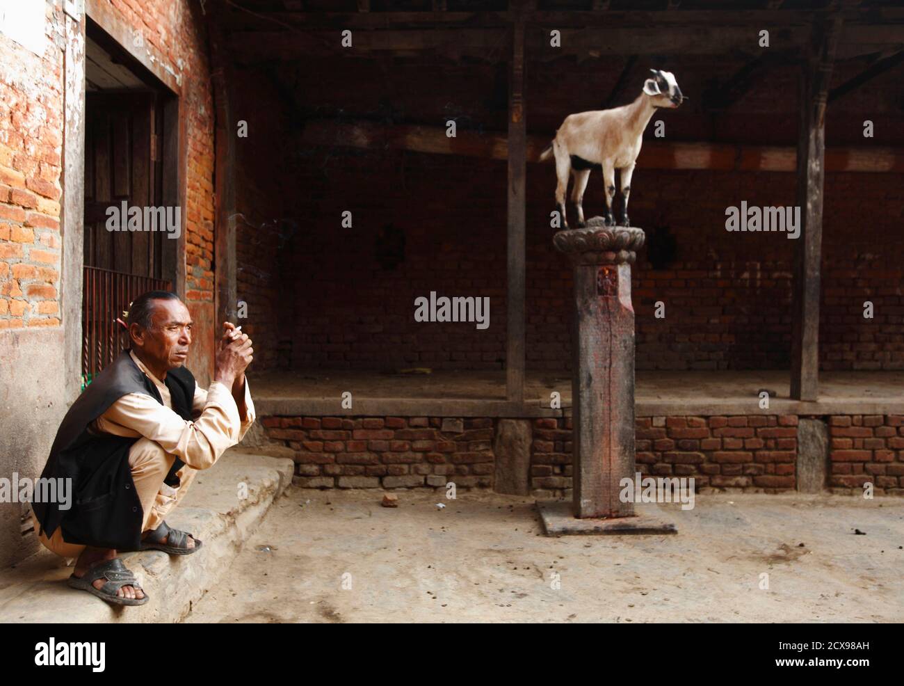 Goat Position High Resolution Stock Photography And Images Alamy https www alamy com a man smokes a cigarette near a goat standing on a pole of a temple at khokana in lalitpur october 9 2012 reutersnavesh chitrakar nepal tags society animals religion image377602921 html