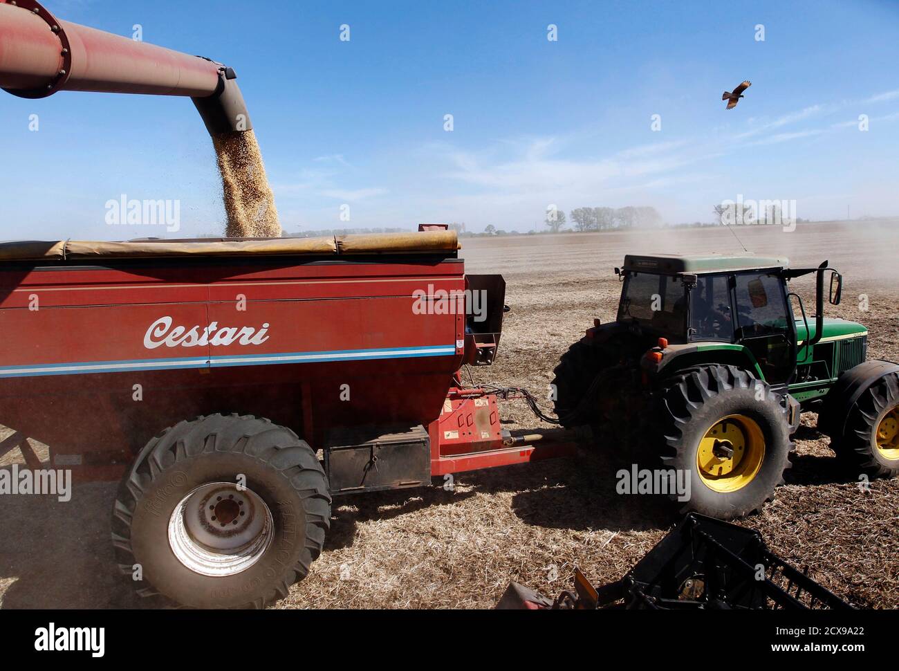 Harvested soybeans are a lorry at a field in the city of Chacabuco April 24, 2013. Food demand is rising and the South American country is a natural grains exporter.