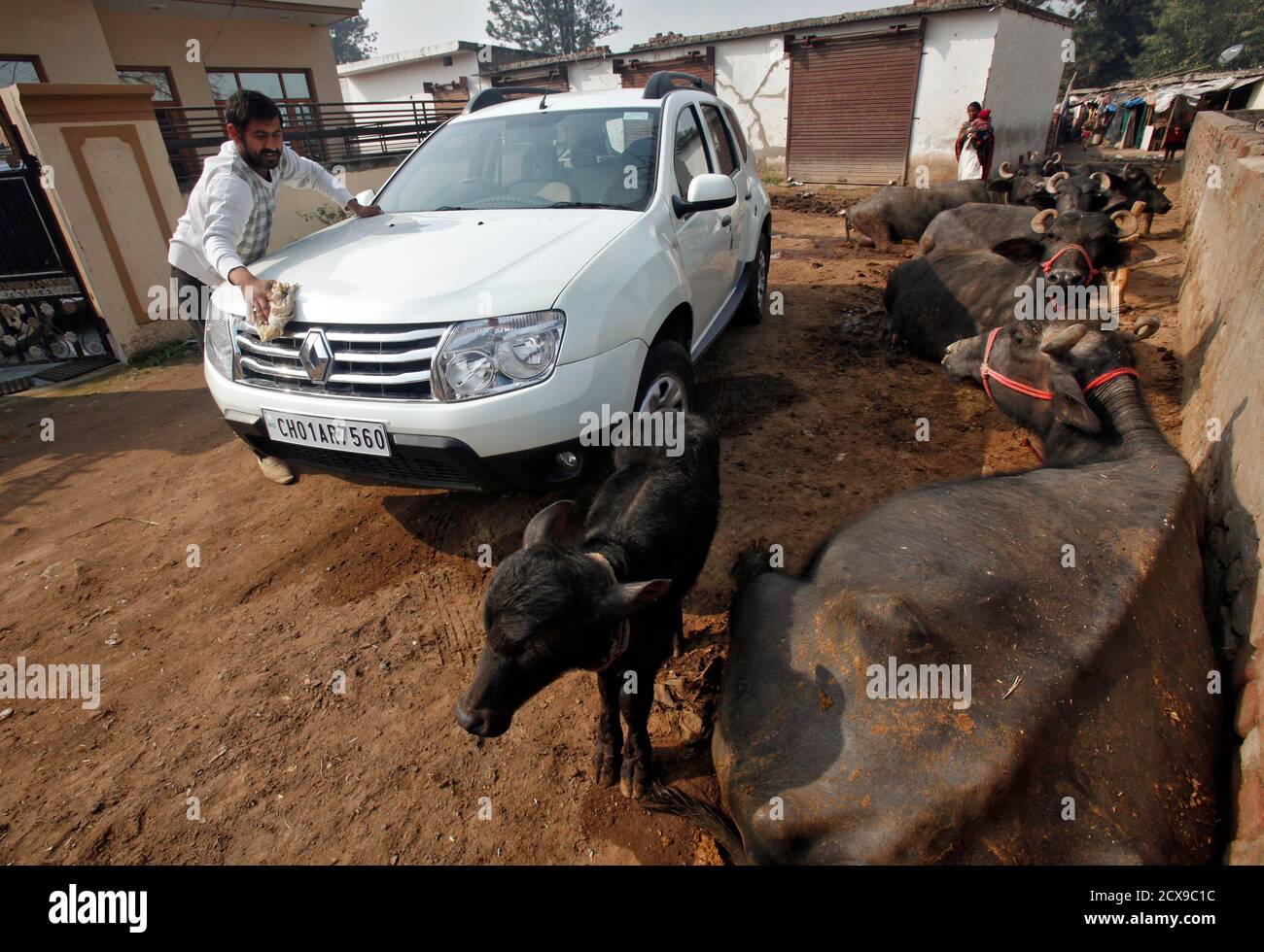Renault Duster High Resolution Stock Photography And Images Alamy