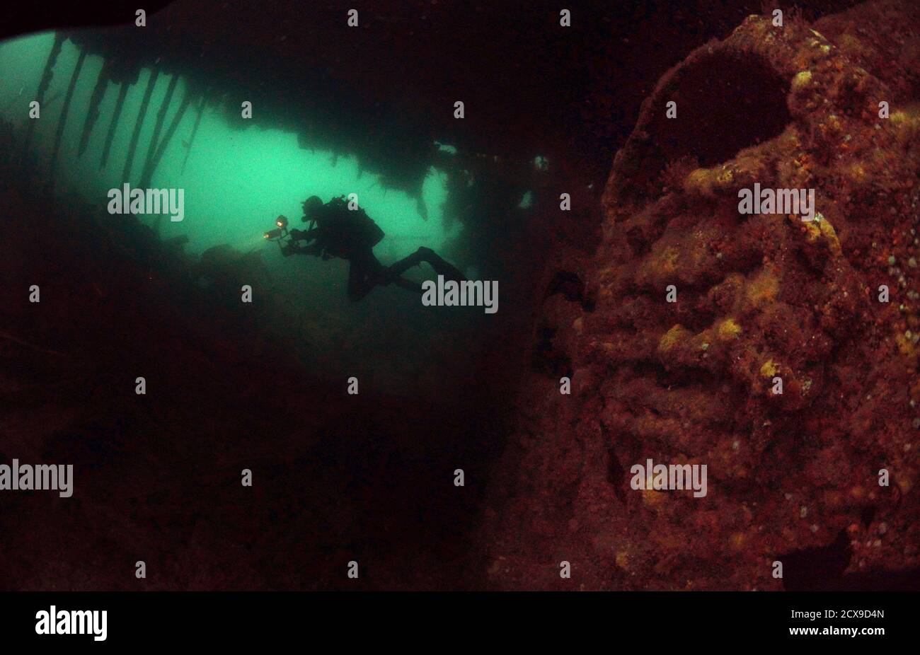 A diver swims past the boilers of the upturned blockship Tabarka in Burra Sound, in the Orkney Islands, Scotland May 8, 2014. Tabarka was deliberately sunk during WWII to try and block the path of German U-Boats. During both World Wars, Scapa Flow was an important British naval base, and the site of significant loss of life. Following the end of World War One, 74 German warships were interned there, and on June 21, 1919 most were deliberately sunk, or scuttled, at the orders of German Rear Admiral Ludwig Von Reuter, who mistakenly thought that the Armistice had broken down and wanted to preven Stock Photo