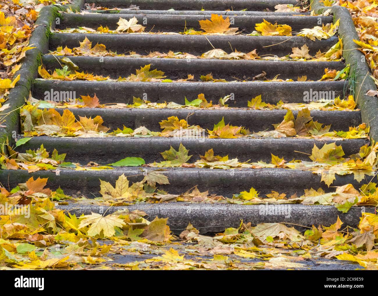 Stone steps covered by autumn leaves - Szentendre, Hungary Stock Photo