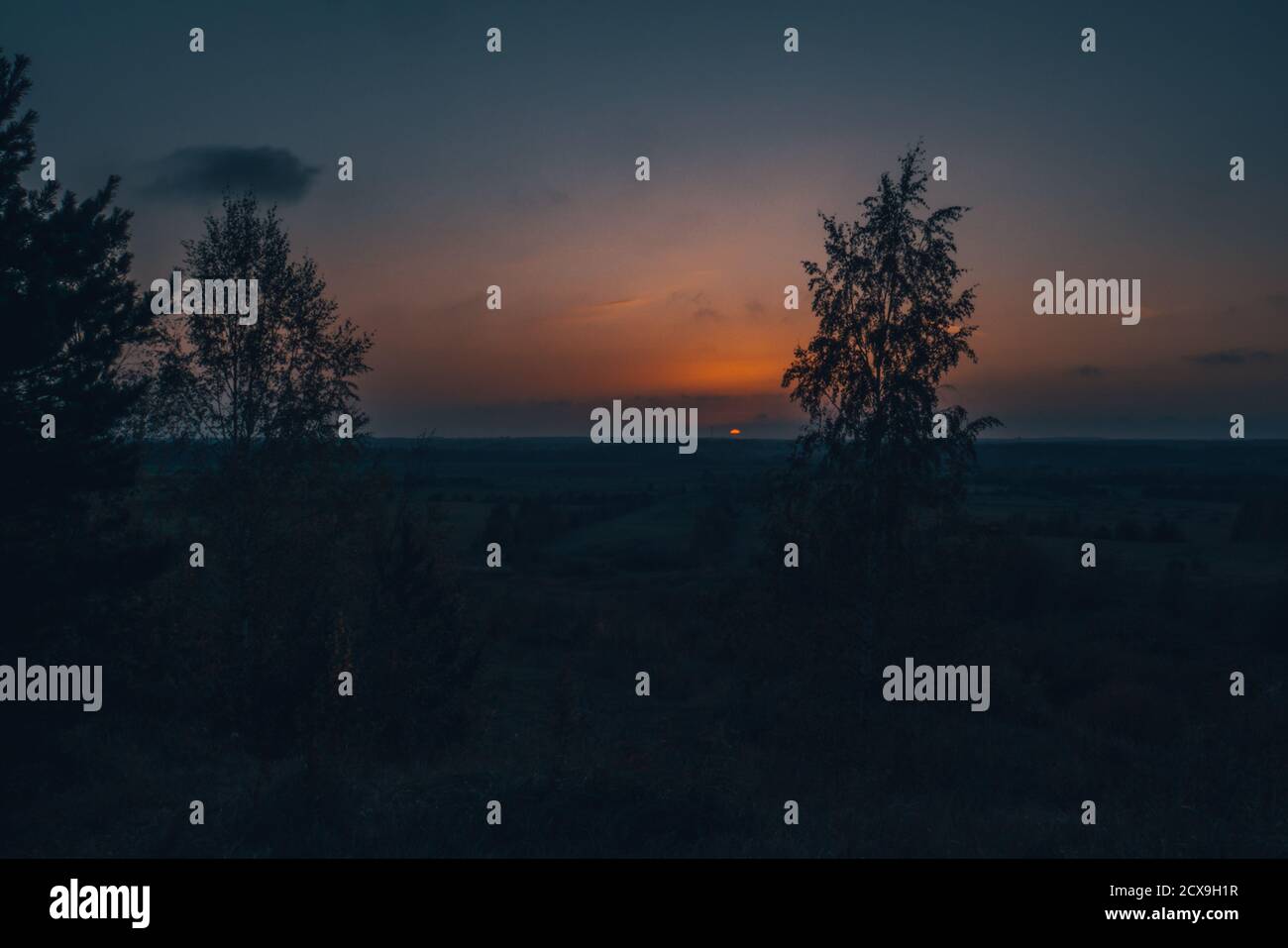 Majestic forest backdrop hi-res stock photography and images - Alamy
