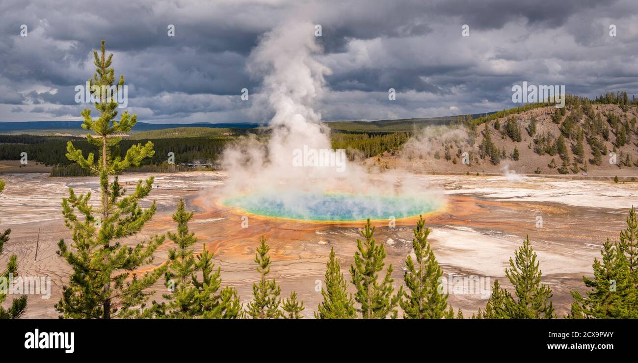 The famous Grand Prismatic in Yellowstone National Park Stock Photo
