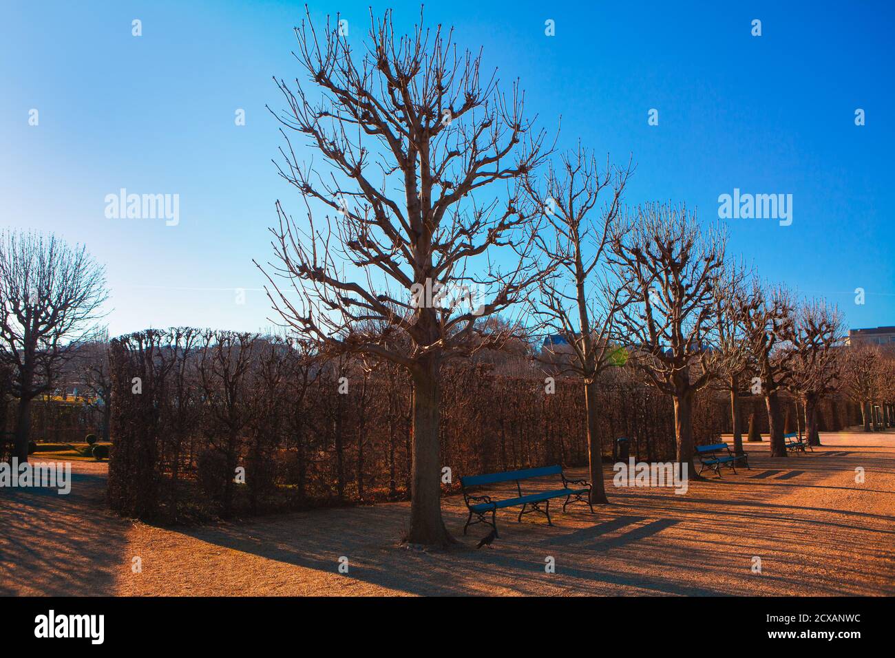 Empty benches park autumn hi-res stock photography and images - Alamy