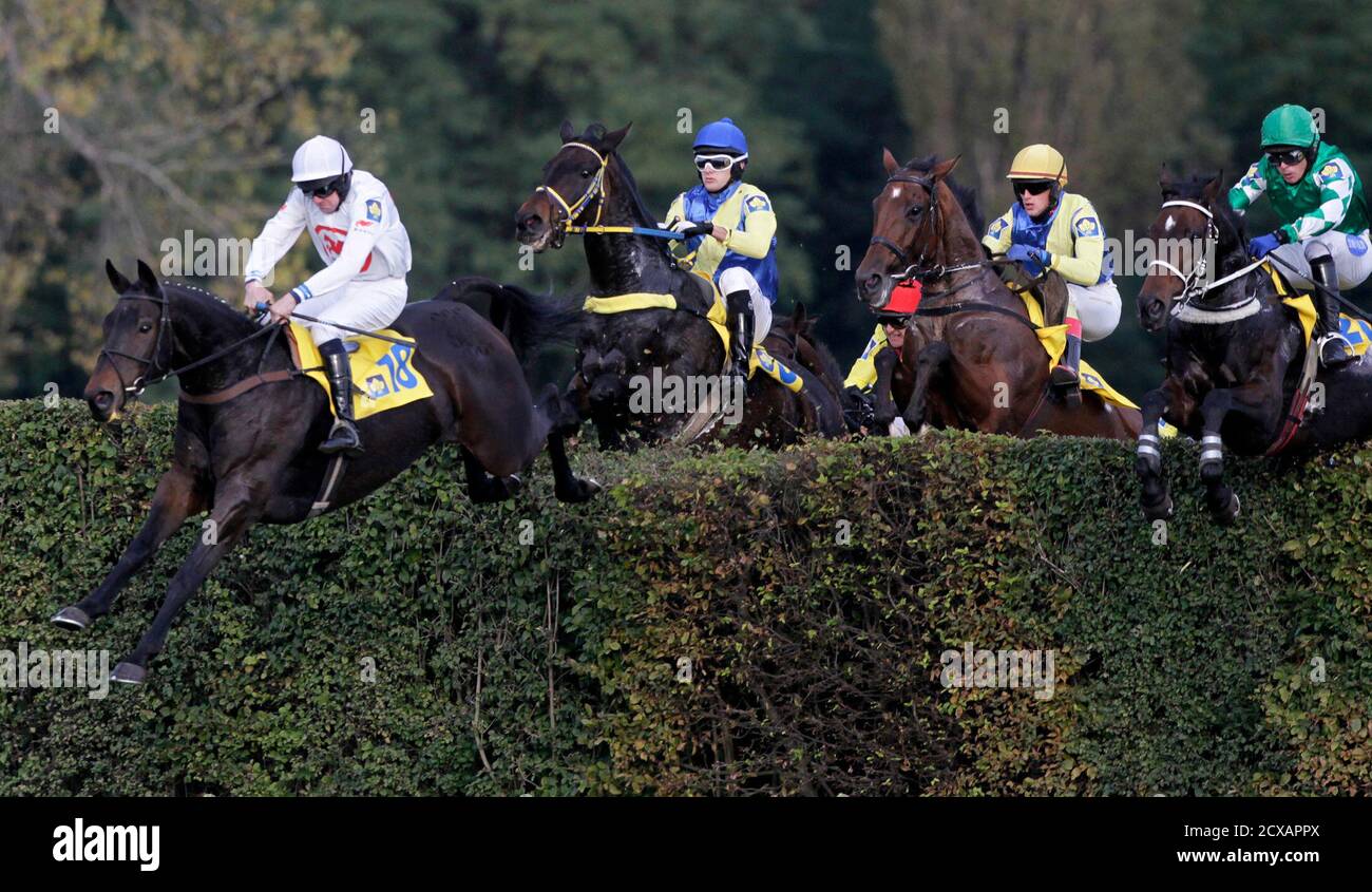 Jockey Jan Faltejsek L Of Czech Republic On Horse Orphee Des Blins Clears The Big Taxis Obstacle During The 122nd Velka Pardubicka Steeplechase Horse Race In Pardubice October 13 2012 Reuters David W
