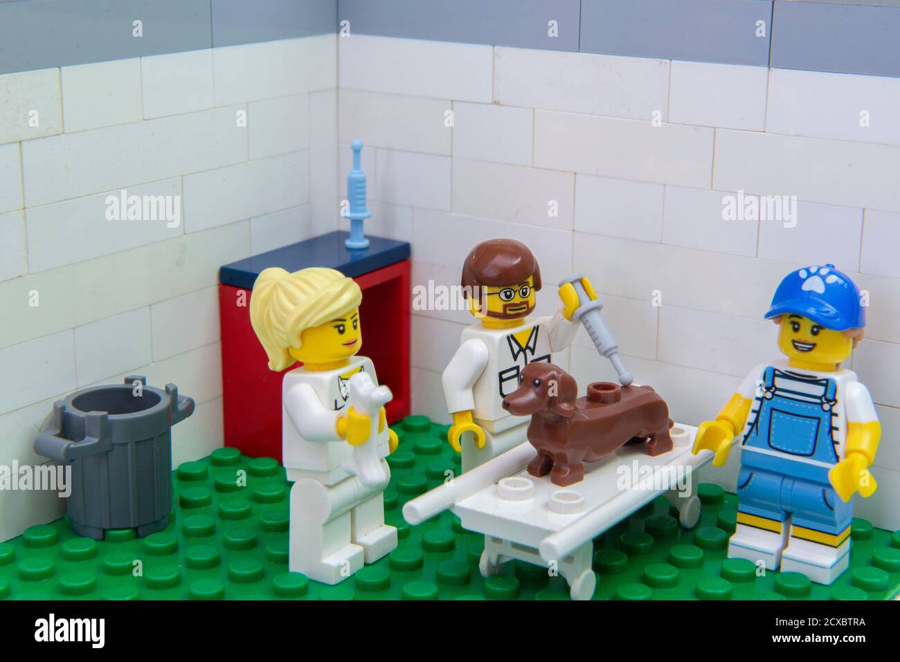 Florianopolis, Brazil. September 19, 2020: Vet minifigure giving injection to a Dachshund dog while a nurse distracts him with a bone at clinic. Conce Stock Photo