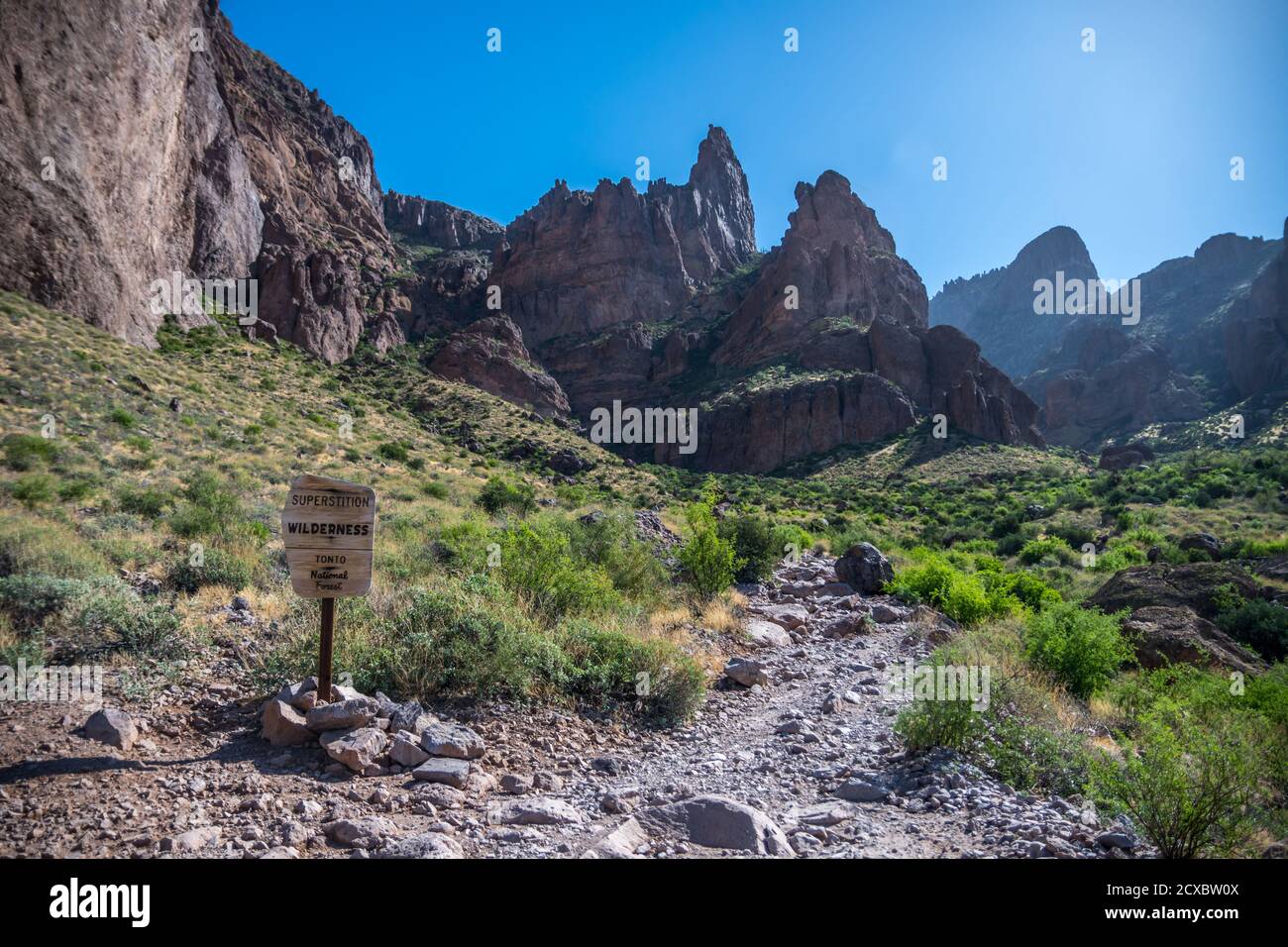 Tonto National Forest AZ USA October 19 2019 A Welcoming tonto-national-forest-az-usa-october-19-2019-a-welcoming