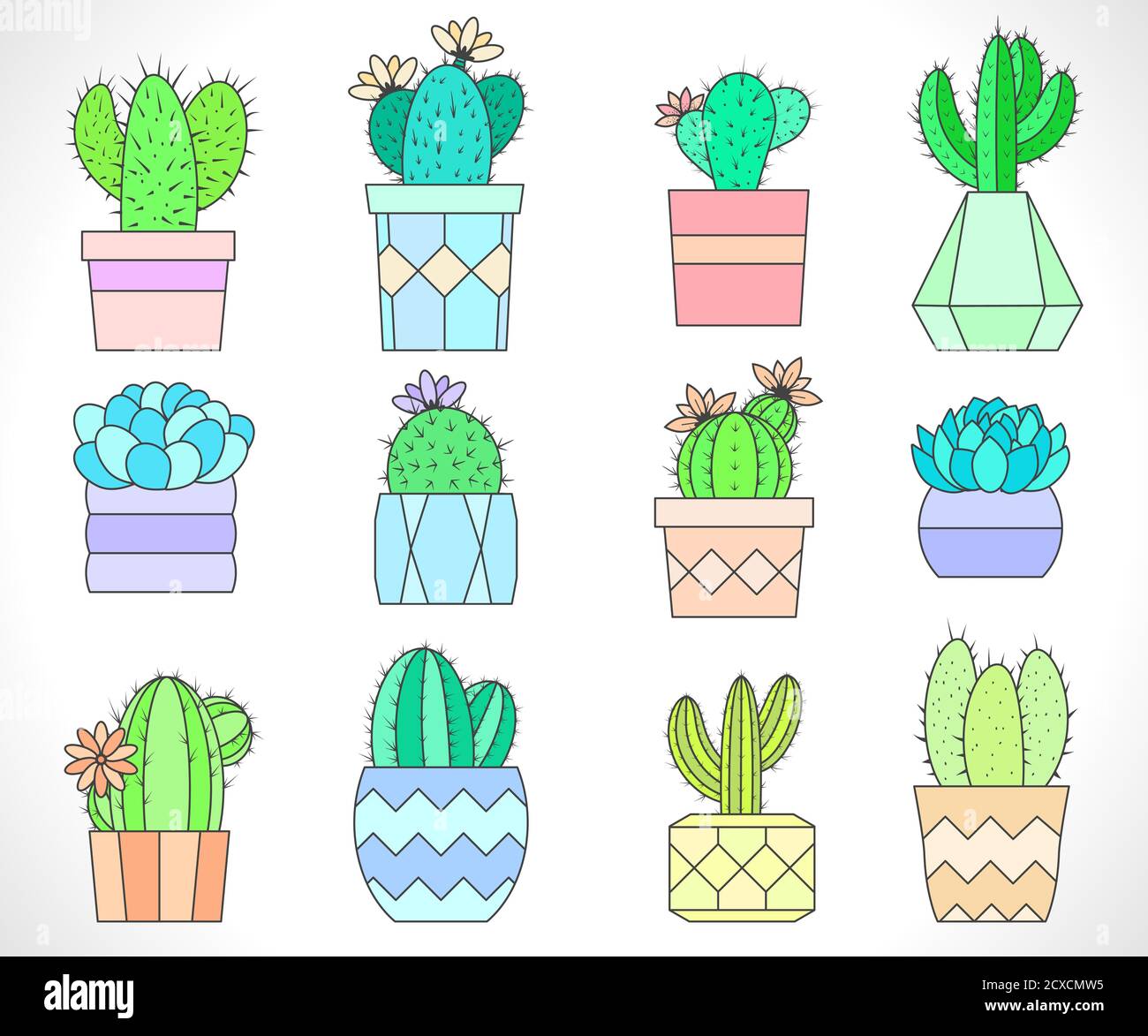 Vector set of cacti and succulents in flower pots. Flat style. Colored ...