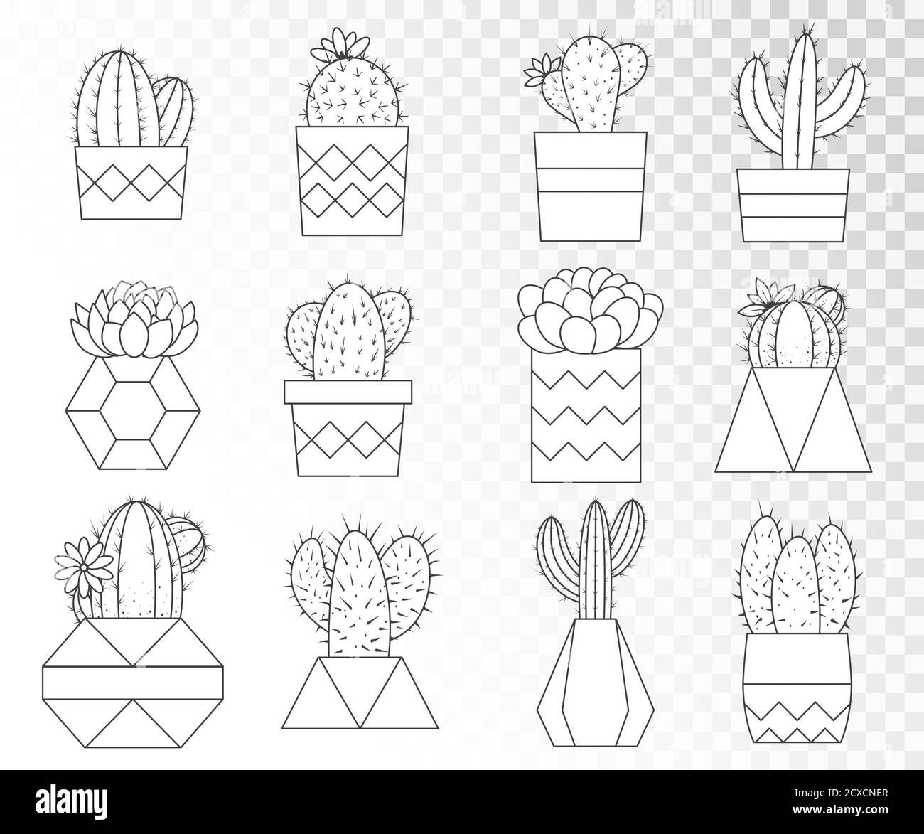 Vector set of cacti and succulents in flower pots. Line art collection ...