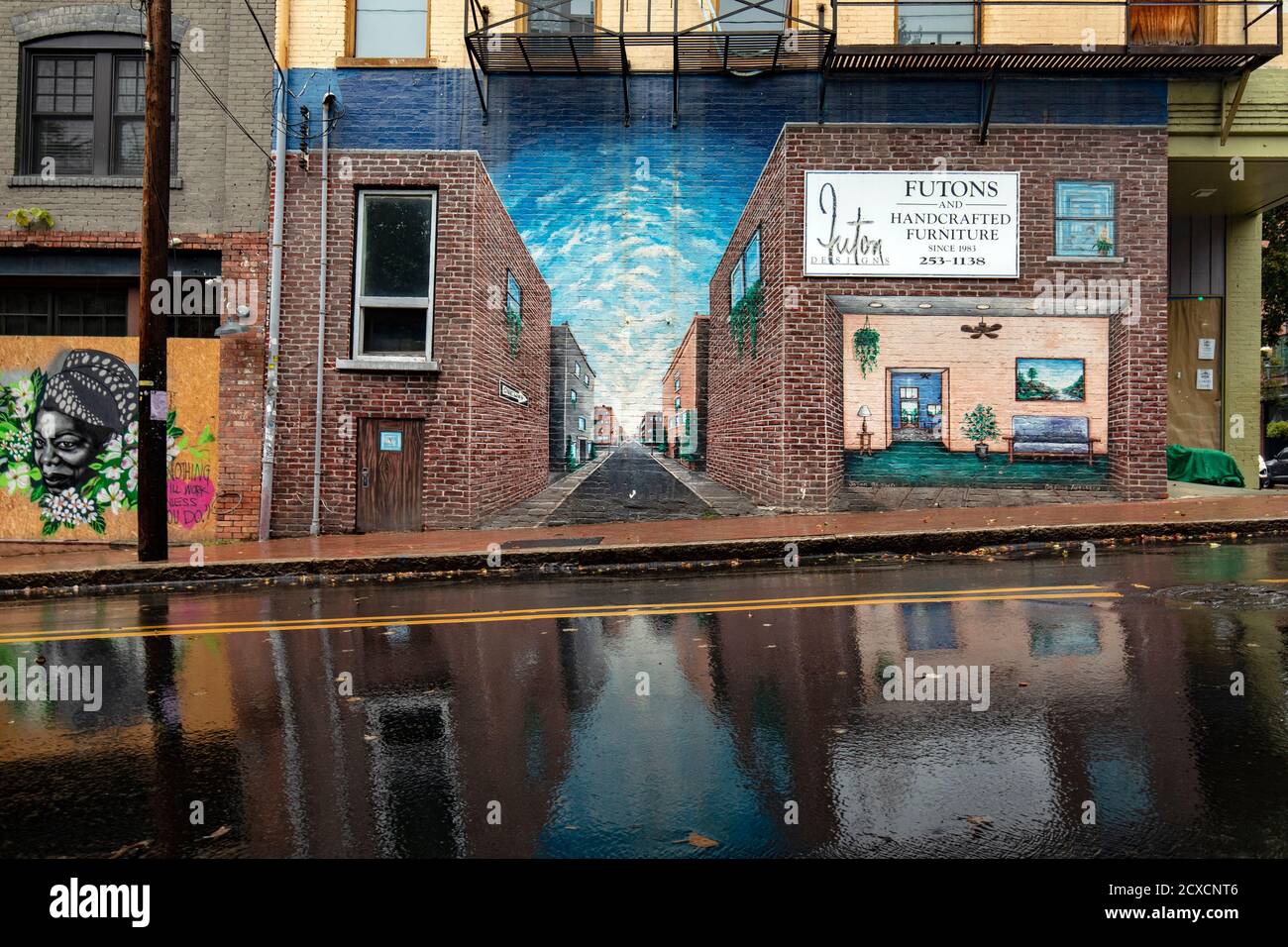 Street Art / Murals on Walnut Street in Downtown Asheville, North
