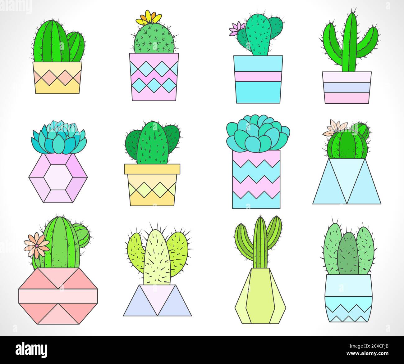 Vector set of cacti and succulents in flower pots. Flat style. Colored ...