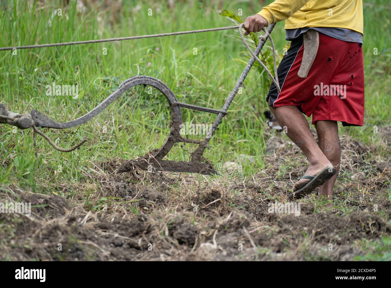 Traditional plough hires stock photography and images Alamy
