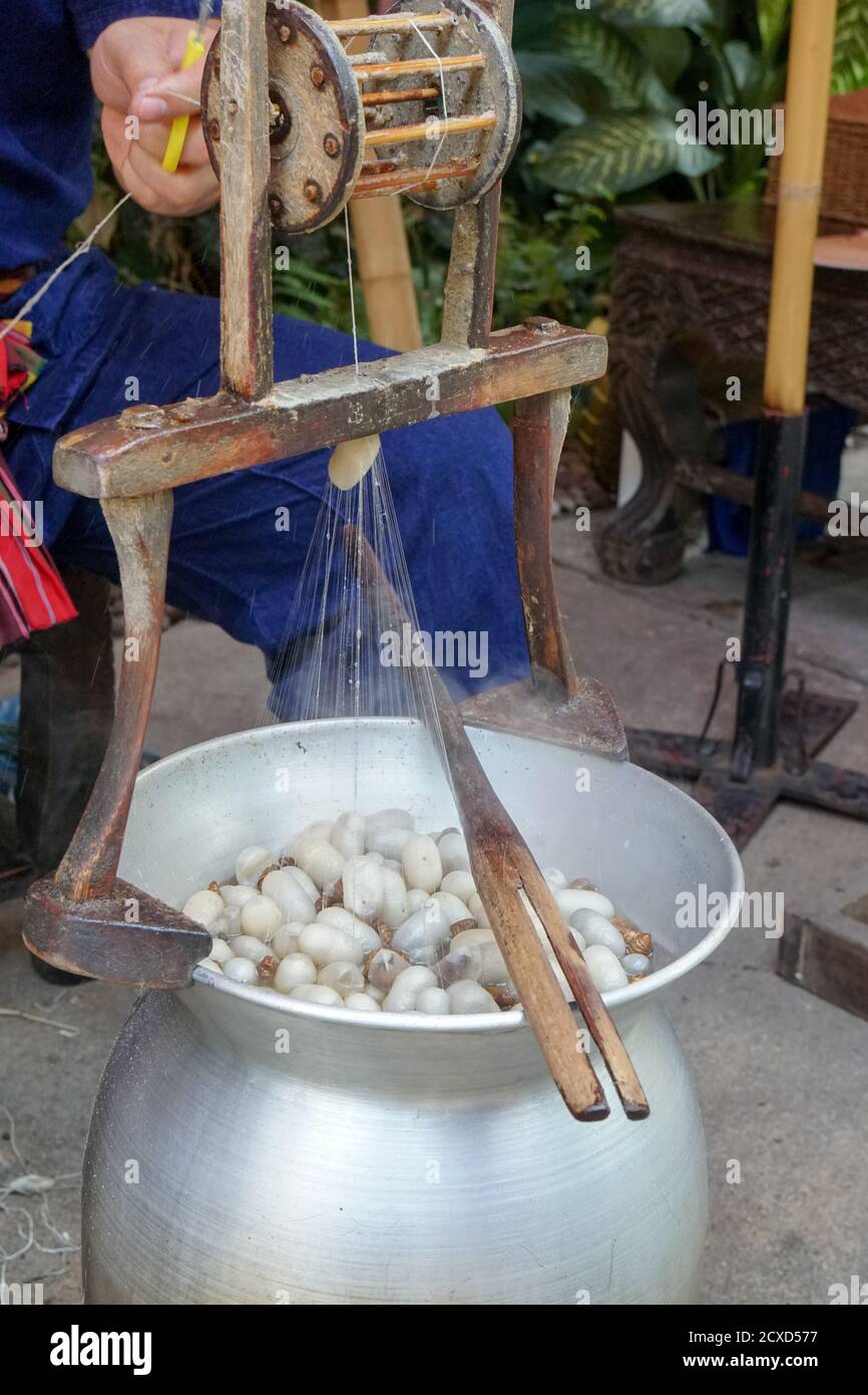 Craftsman spinning silk from silkworm cocoons in the traditional way