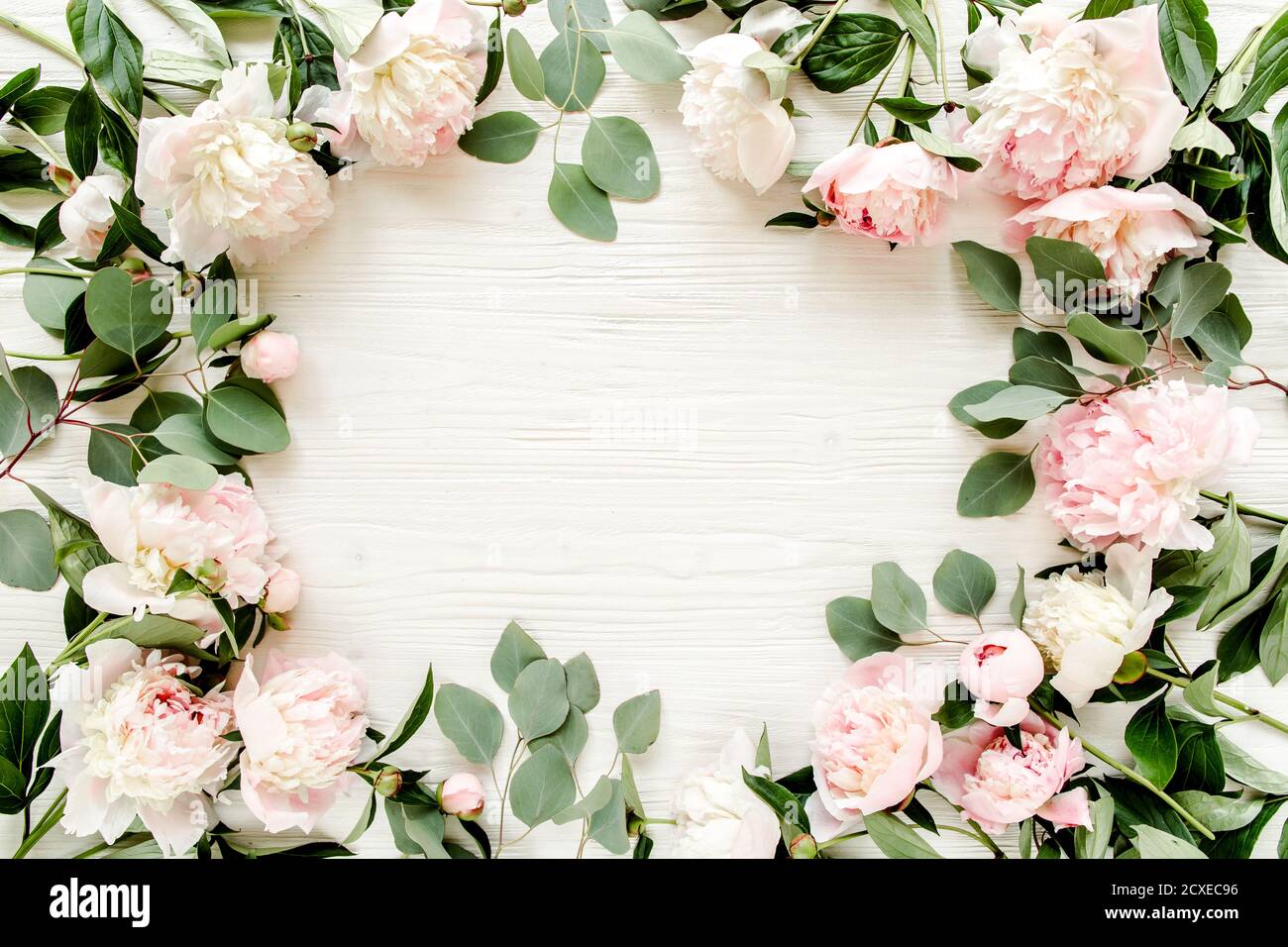 frame made of beautiful pink peonies on white background. Flat lay, top ...