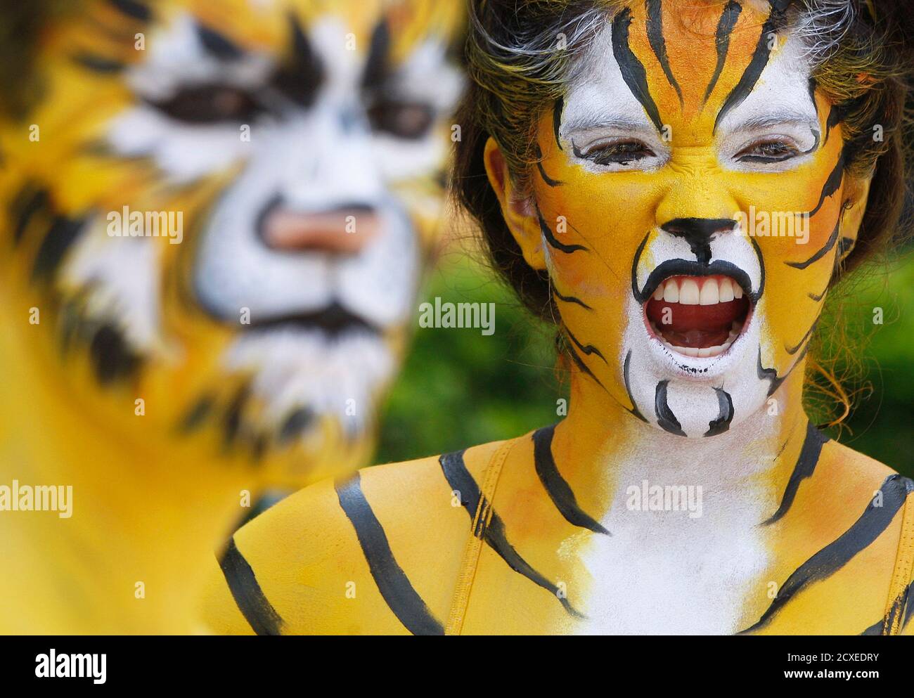 Body painted as a tiger hi-res stock photography and images - Alamy