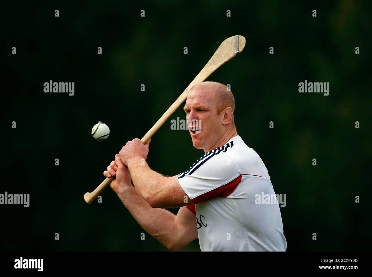 Paul o'connell lions hires stock photography and images Alamy