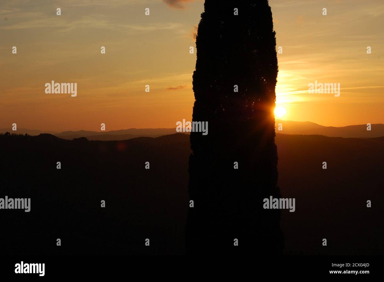 Orange sunset light and silhouette of hills and  part of a big cypress tree in foreground in Montalcino Tuscany Stock Photo