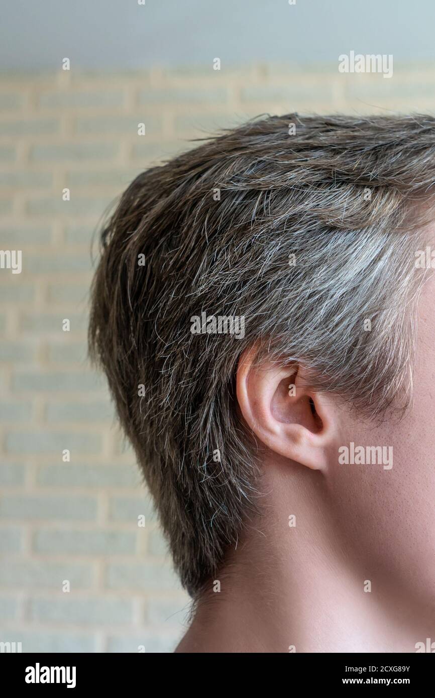 Young man portrait close up, gray hair at the temples Stock Photo Alamy