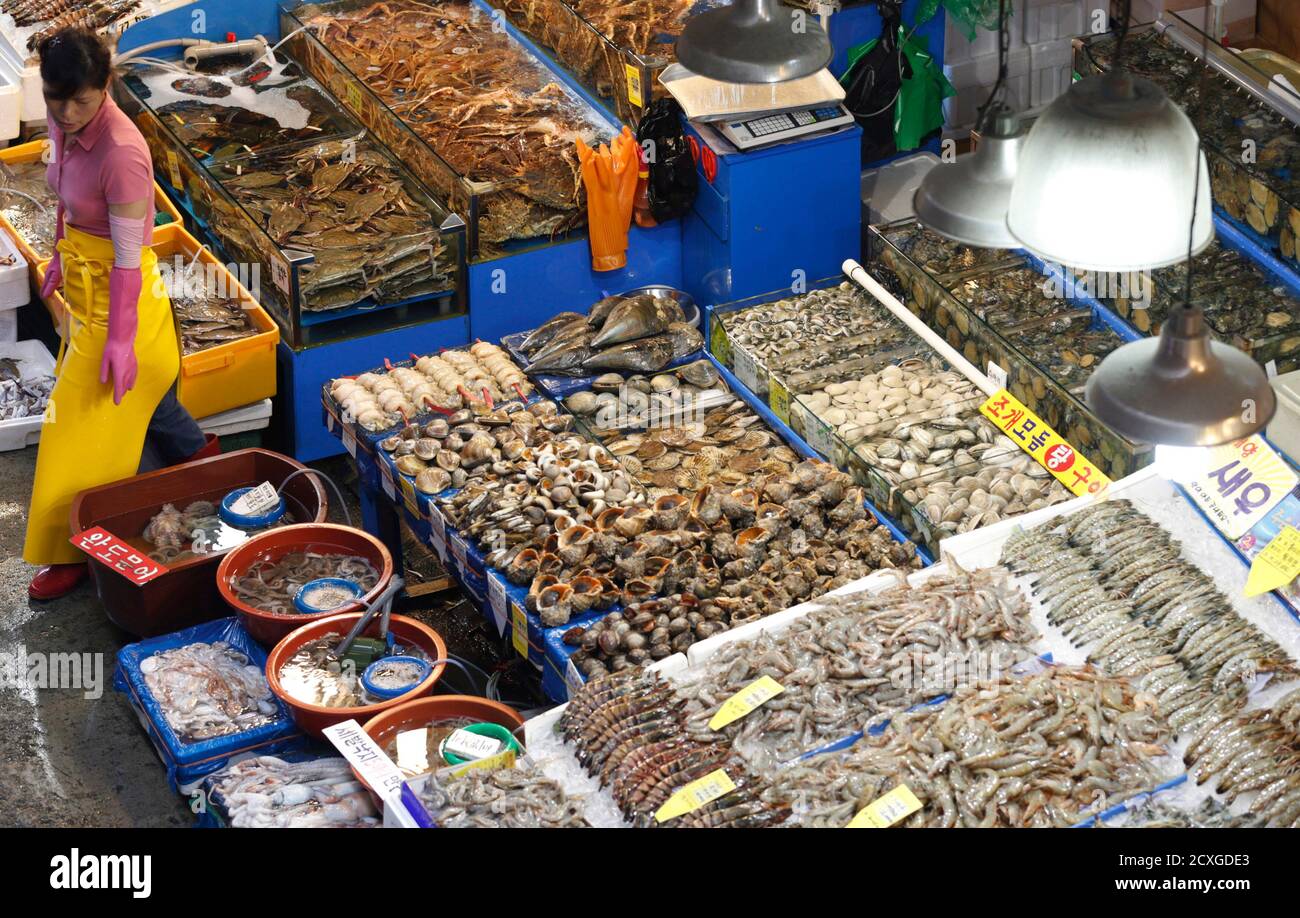 A fish dealer waits for customers at a fishery market in central Seoul  September 13, 2013. Picture taken September 13, 2013. REUTERS/Lee Jae-Won  (SOUTH KOREA - Tags: FOOD BUSINESS Stock Photo - Alamy