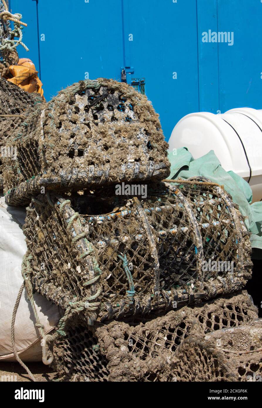 Crab Baskets on the Harbourside in Paignton, Devon Stock Photo Alamy
