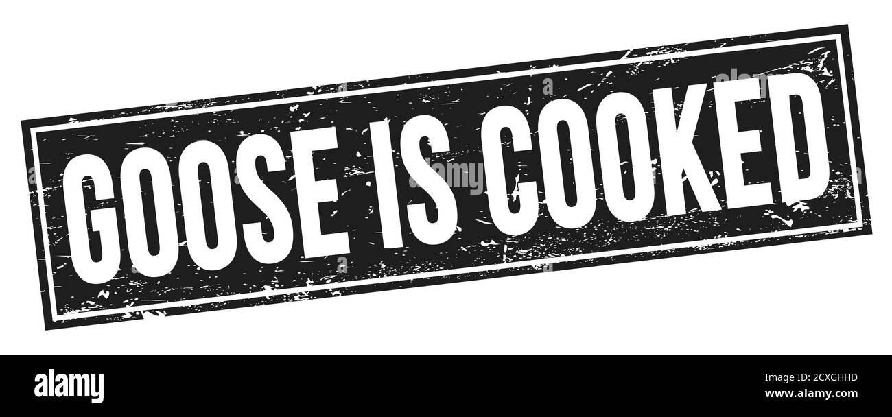 GOOSE IS COOKED text on black grungy rectangle stamp sign. Stock Photo
