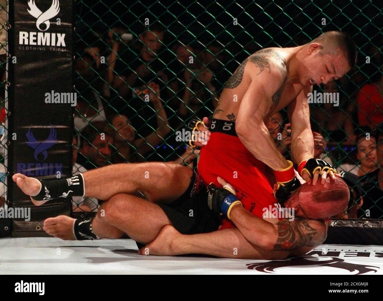 Mma Styles Mma Styles
