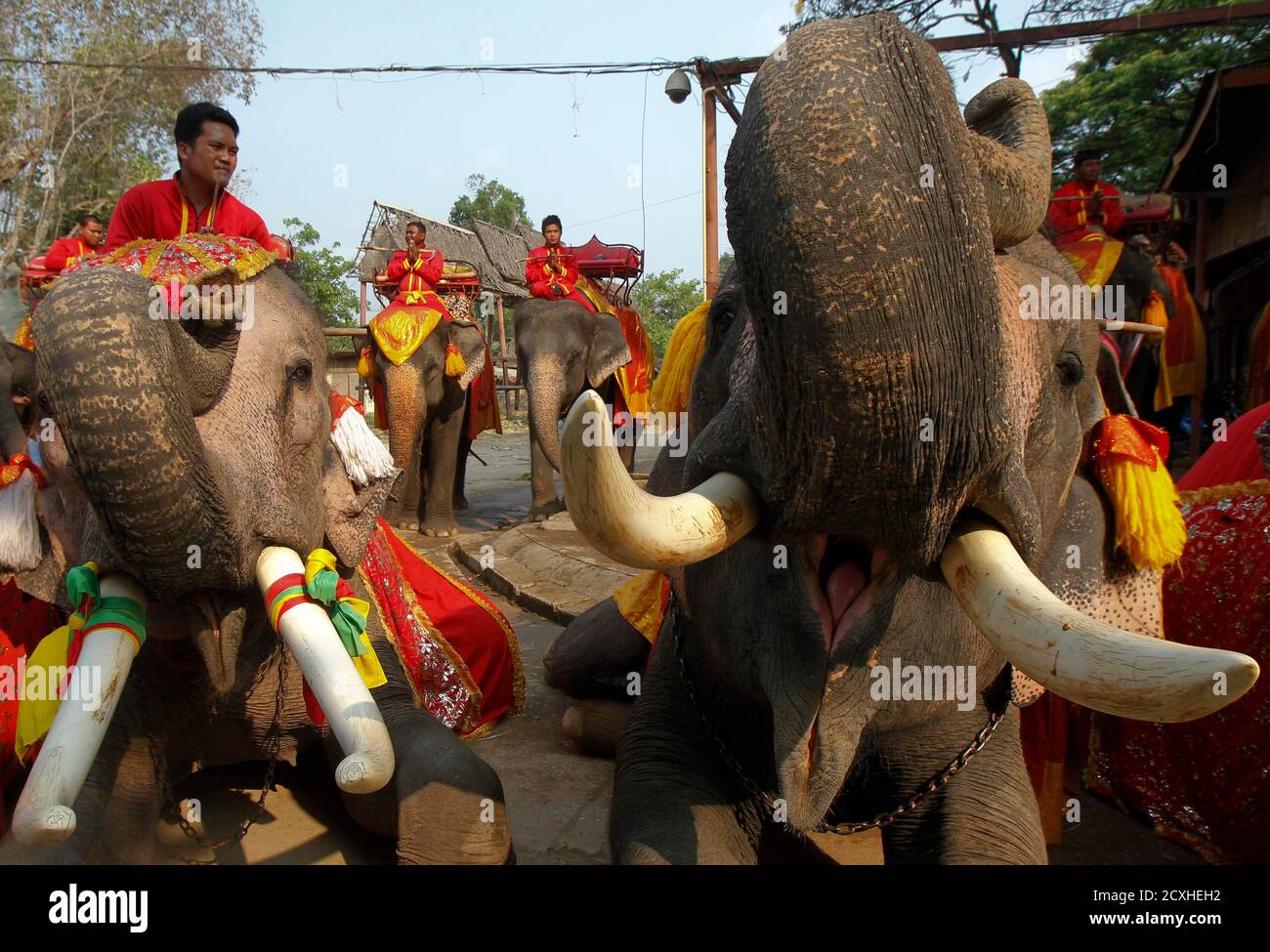 Mahouts pray while sitting on top of elephants during Thailand's National  Elephant Day in the ancient Thai capital Ayutthaya March 13, 2014. Thais  honoured the elephant on Thursday with special fruits and