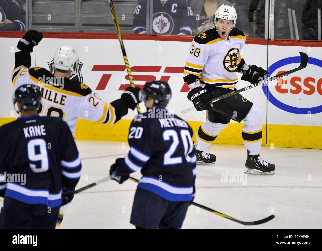 Boston Bruins' Jordan Caron (R) celebrates his goal against the Winnipeg  Jets with teammate Daniel Paille (top L) during the second period of their NHL  hockey game in Winnipeg February 17, 2012.