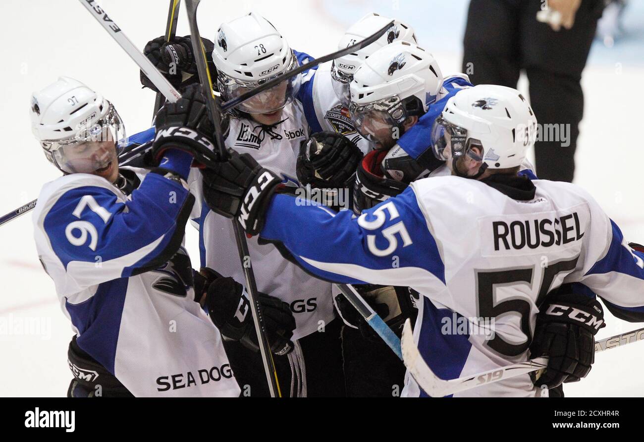 Kamil bednarek hockey