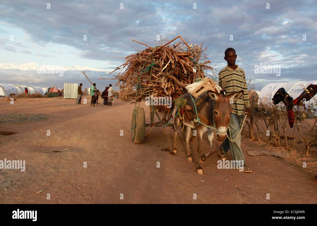 A Somali refugee drives his donkey loaded with firewood into the Ifo extension refugee camp in Dadaab, near the Kenya-Somalia border, July 31, 2011. The whole of drought- and conflict-wracked southern Somalia is heading into famine as the Horn of Africa food crisis deepens, the United Nations said. REUTERS/Thomas Mukoya (KENYA - Tags: SOCIETY CIVIL UNREST DISASTER ENVIRONMENT ANIMALS) Stock Photo