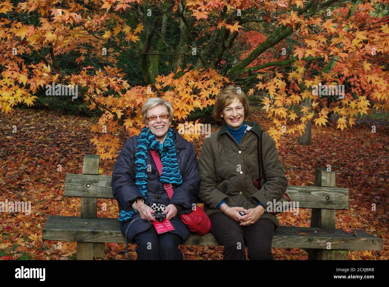 Two smiling senior women sitting on a wooden bench with a background of Autumn foliage, Westonbirt Arboretum, Gloucestershire, UK Stock Photo