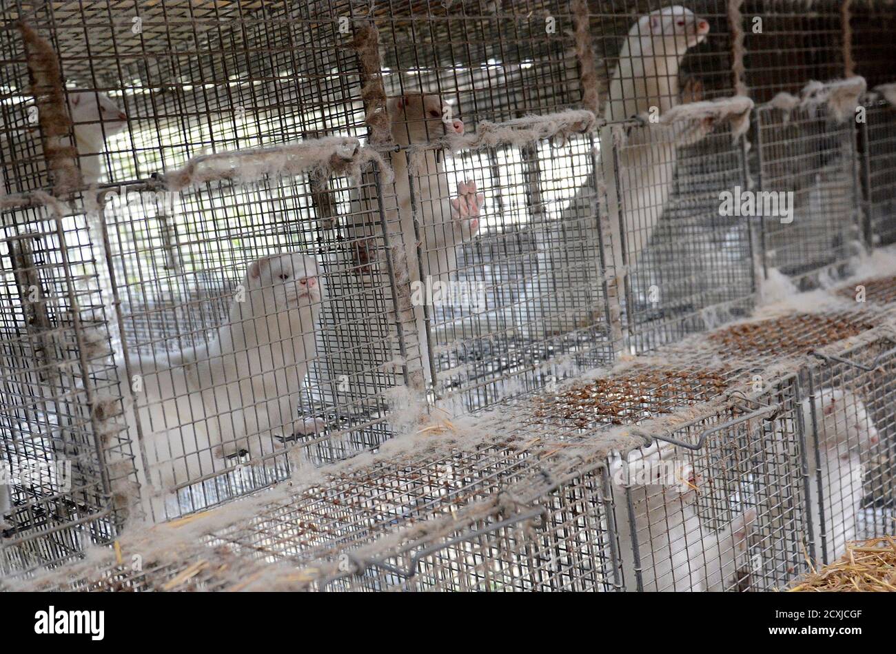 jyllinge high resolution stock photography and images alamy