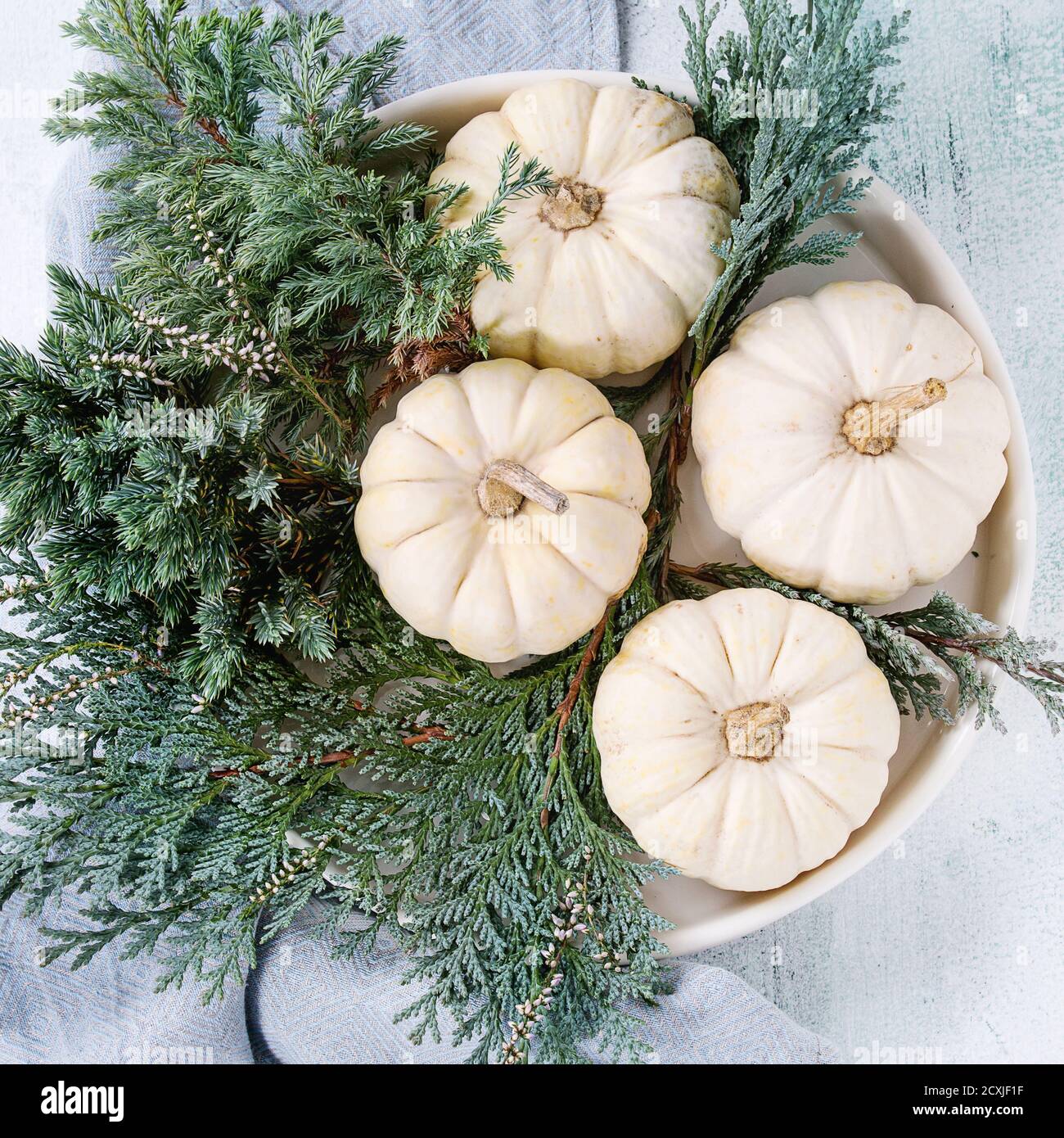 Holiday table decoration with white decorative pumpkins and thuja branches on blue textile napkin over white wooden background. Top view. Square image Stock Photo